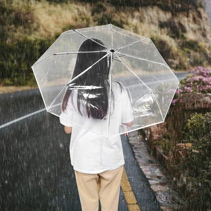 Transparent Umbrella