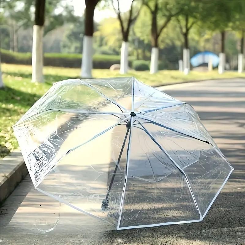Transparent Umbrella