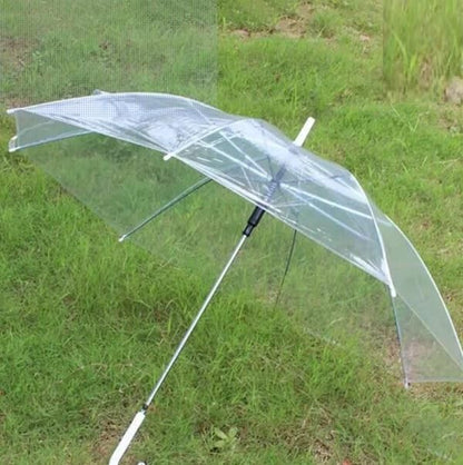 Transparent Umbrella